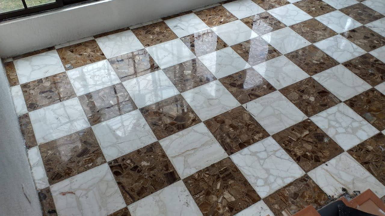 Desvastadora profesional para restauración de pisos